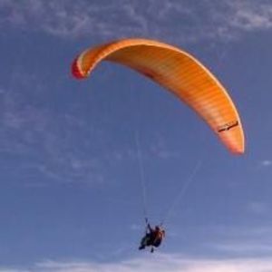 Meet your Posher, Franklin